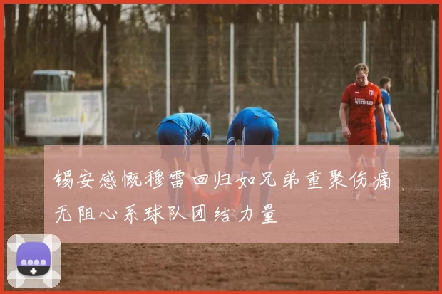 锡安感慨穆雷回归如兄弟重聚伤痛无阻心系球队团结力量