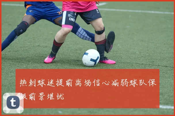 热刺球迷提前离场信心减弱球队保级前景堪忧