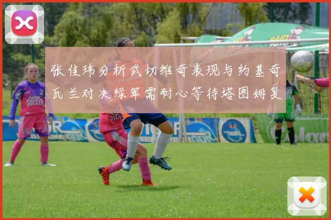 张佳玮分析武切维奇表现与约基奇瓦兰对决绿军需耐心等待塔图姆复出